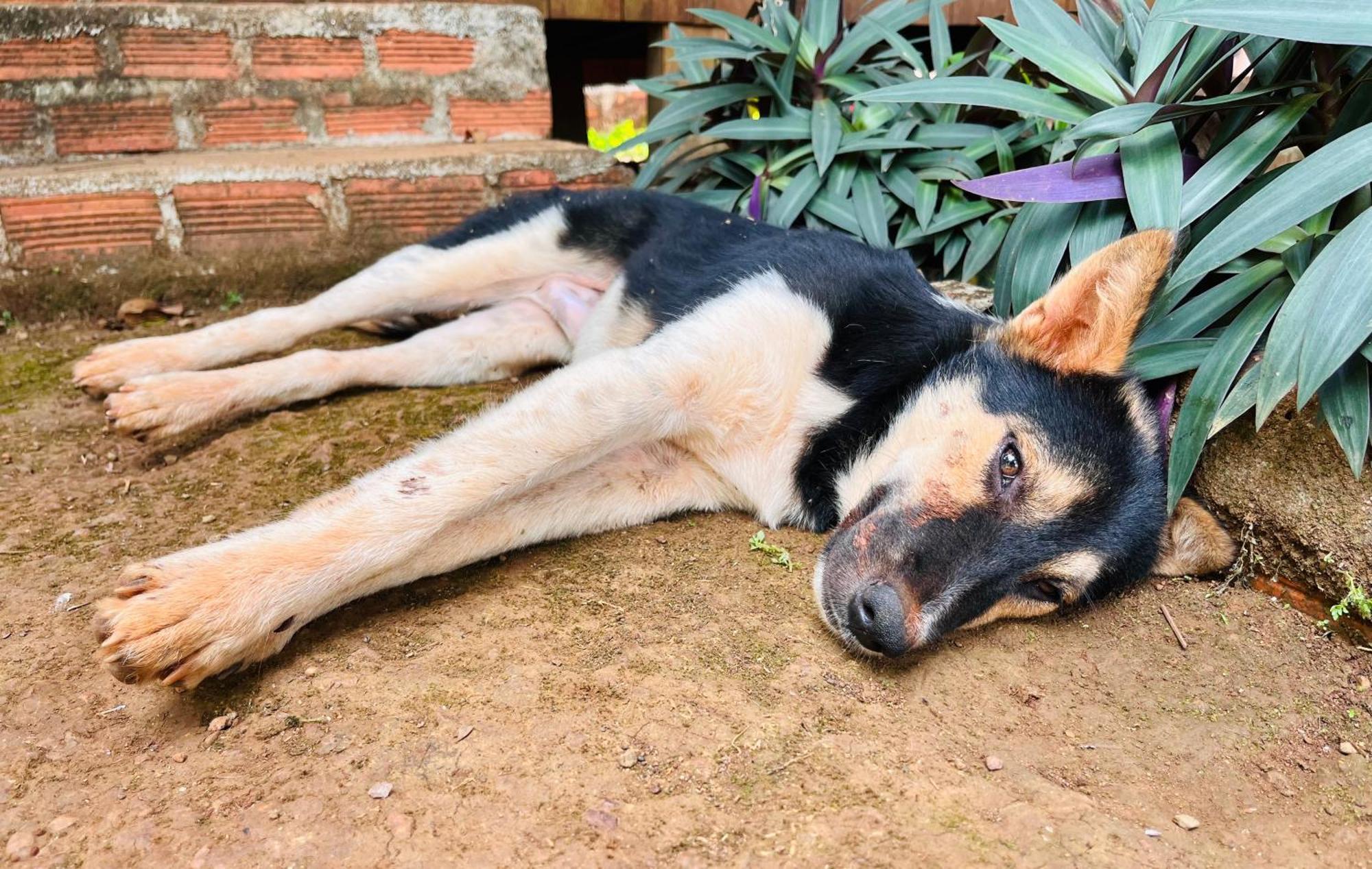 Ratanakiri Farmhouse & Trekking Banlung Exterior photo
