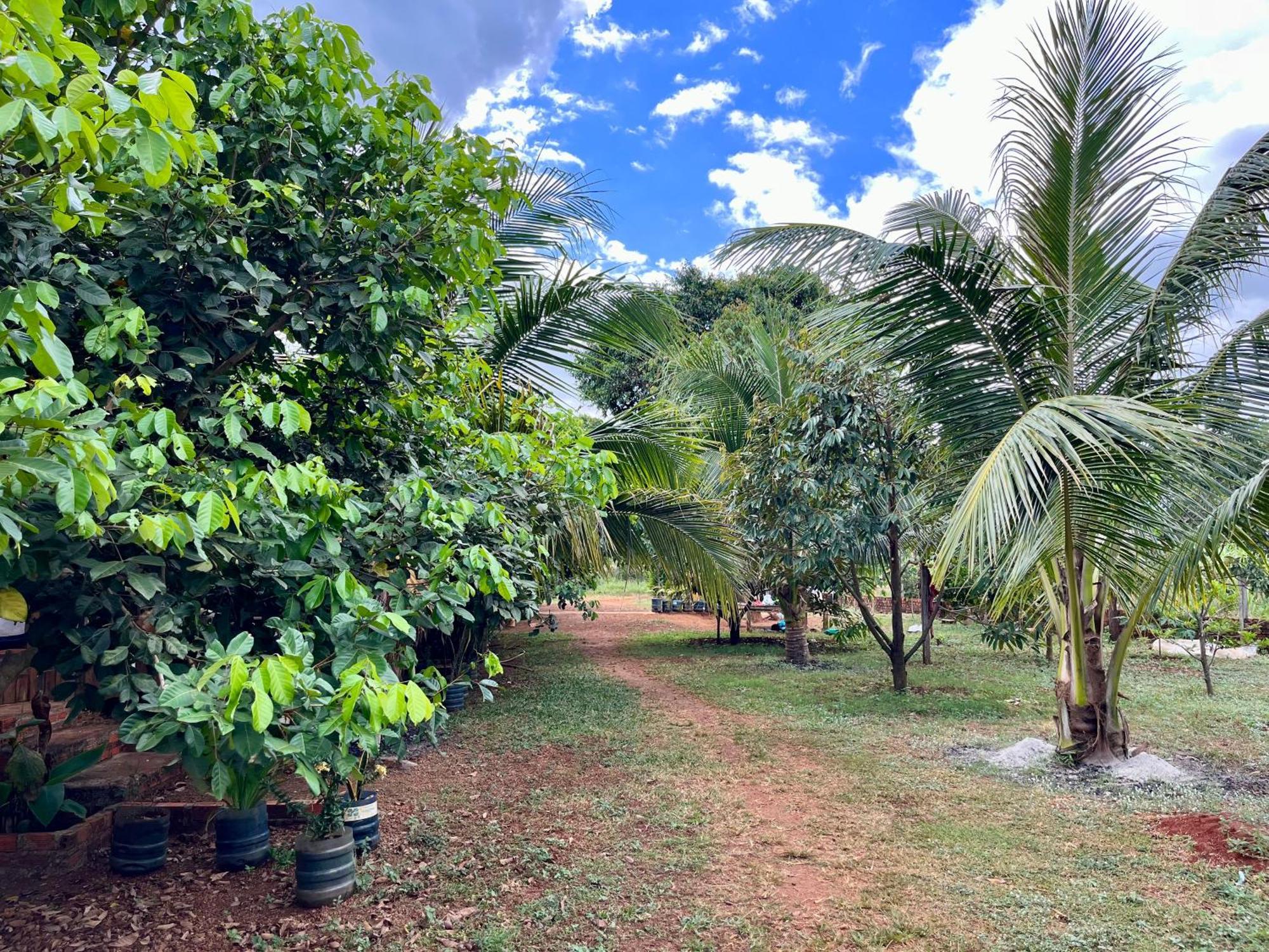 Ratanakiri Farmhouse & Trekking Banlung Exterior photo
